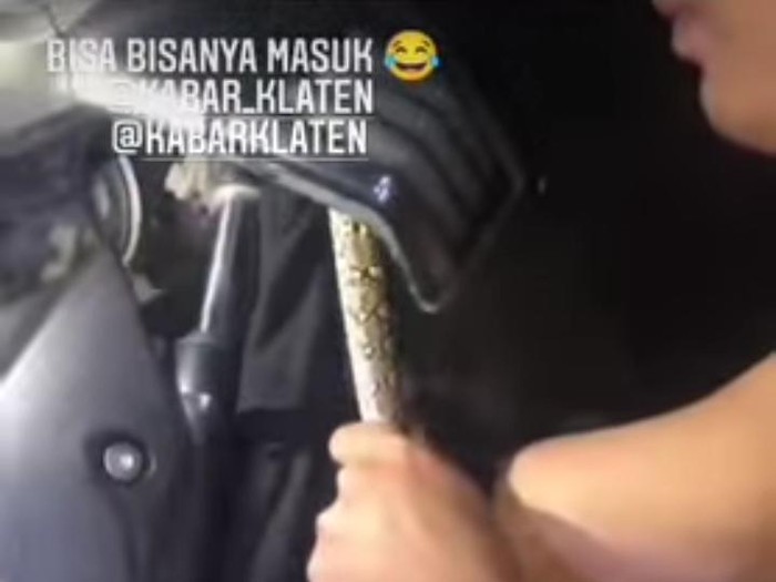 Proses evakuasi seekor ular masuk ke bodi sepeda motor dari angkapan layar akun IG @Kabare_klaten.