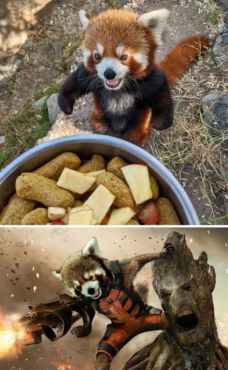 Hasil editan jagoan Photoshop