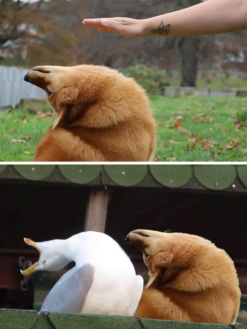 Hasil editan jagoan Photoshop