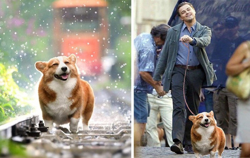 Hasil editan jagoan Photoshop