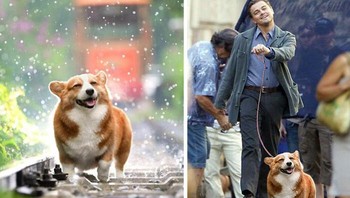 Jalan bareng Leonardo Foto: Reddit/PhotoshopBattles