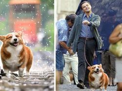 Foto Hasil Editan Jagoan Photoshop Ini Bikin Ngakak Parah