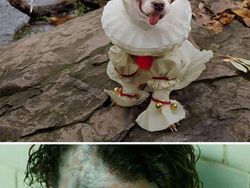 Foto Hasil Editan Jagoan Photoshop Ini Bikin Ngakak Parah