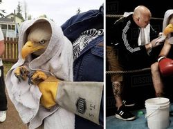 Foto Hasil Editan Jagoan Photoshop Ini Bikin Ngakak Parah