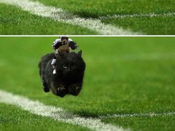 Foto Hasil Editan Jagoan Photoshop Ini Bikin Ngakak Parah