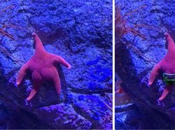 Foto Hasil Editan Jagoan Photoshop Ini Bikin Ngakak Parah