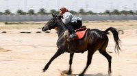 Olahraga berkuda telah tercantum dalam hadist terkait memanah. Kuda dikenal sebagai binatang yang lincah, kuat, dan memiliki banyak stamina. Olahraga berkuda terbukti mampu menjaga keseimbangan, koordinasi antar anggota tubuh, dan emosi.