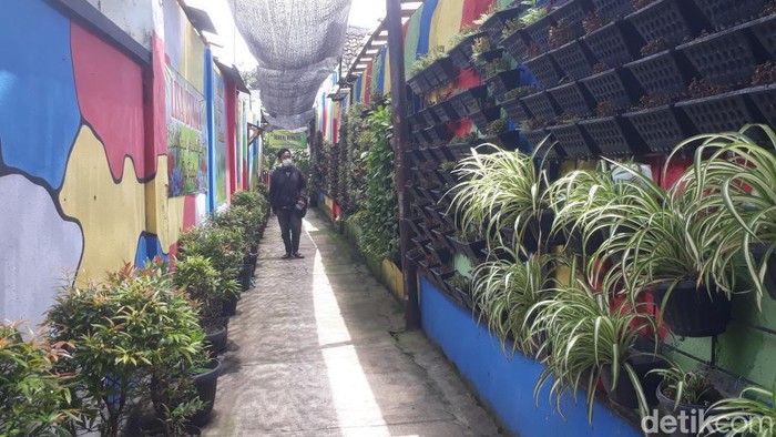 Kampung Bunga Pucangan Kota Pasuruan yang dibangun secara swadaya oleh masyarakat.