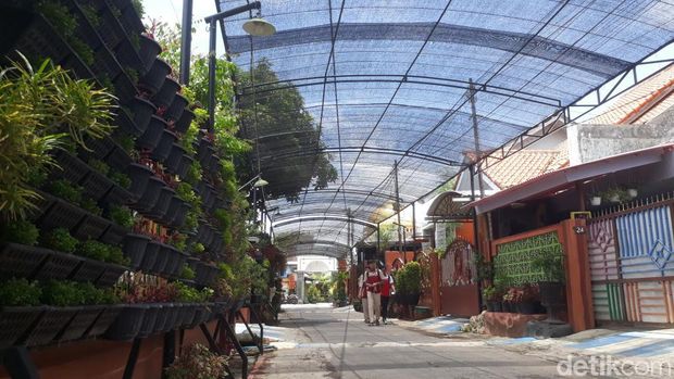 Kampung Bunga Pucangan Kota Pasuruan yang dibangun secara swadaya oleh masyarakat.
