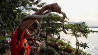 Danau Cincin Jakarta Utara menjadi spot baru untuk ngabuburit.