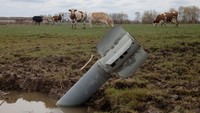 Di wilayah Lukashivka, Ukraina, serpihan roket terlihat di area tempat sejumlah sapi merumput, Minggu (10/4/2022). (Photo by Anastasia Vlasova/Getty Images).