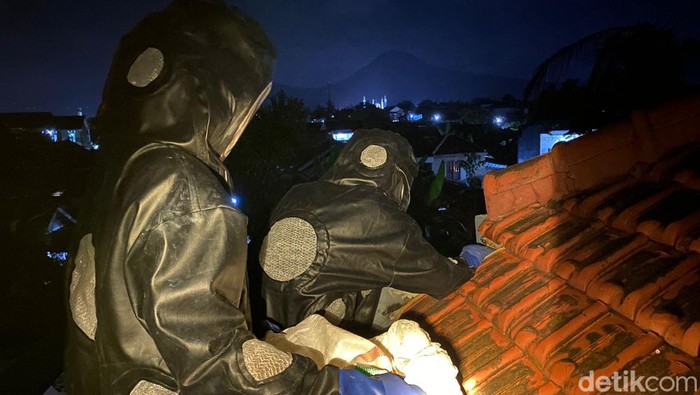 Ptugas Damkar evakuasi sarang Tawon Vespa di Trenggalek