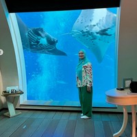 Ikan-ikan kecil hingga ikan pari pun terlihat dari kamar penginapan Titi Kamal dan keluarganya. Tak lupa untuk mengabadikan momen spesial tersebut, sang ibu pun tampak berfoto di depan akuarium bawah laut kamar hotel. Foto: Instagram/@titi_kamall