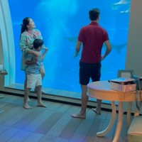 Banyak diidolakan, keluarga Titi Kamal dan Christian Sugiono memang selalu terlihat harmonis. Begini momen saat Titi bersama sang suami dan anaknya sedang menikmati pemandangan bawah laut di dalam hotel. Foto: Instagram/@titi_kamall