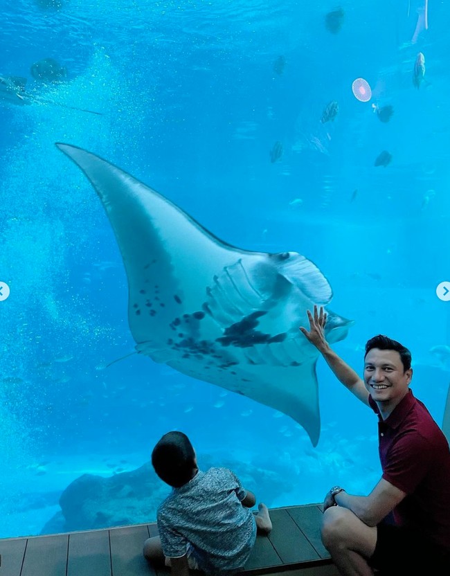 Melalui keterangan dalam unggahannya diketahui bahwa Titi  menginap di Resorts World Sentosa yang berada di Universal Studio Singapore. Dengan pemandangan akuarium bawah laut, penginapannya itu terlihat begitu nyaman dan juga unik. Foto: Instagram/@titi_kamall