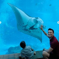 Melalui keterangan dalam unggahannya diketahui bahwa Titi  menginap di Resorts World Sentosa yang berada di Universal Studio Singapore. Dengan pemandangan akuarium bawah laut, penginapannya itu terlihat begitu nyaman dan juga unik. Foto: Instagram/@titi_kamall