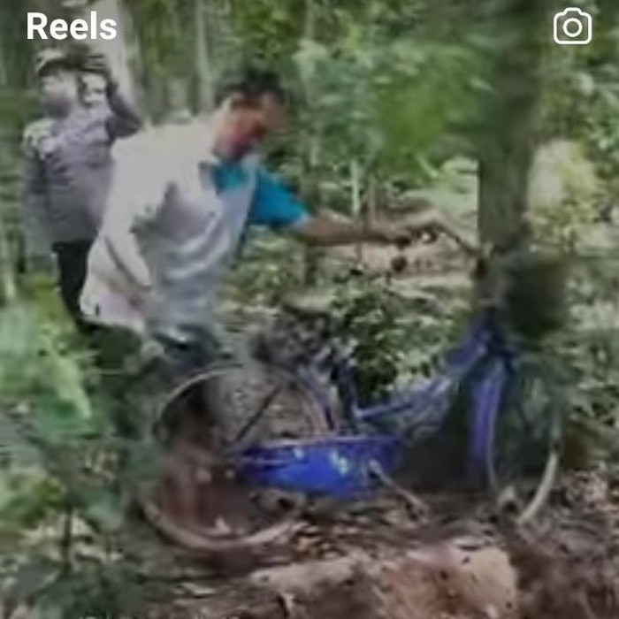 Viral Blitar