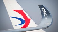 Tidak seperti Boeing, adopsi winglet di Airbus cukup lambat dan tetap tidak yakin akan manfaatnya hingga tahun 2000-an. Pada tahun 2011 ia pertama kali menerbangkan desain winglet mereka sendiri, menyebutnya sharklet namun berkembang dengan cepat.