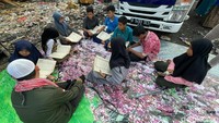 Berbagai kegiatan dilakukan seperti membaca Iqro dan Al-Quran.