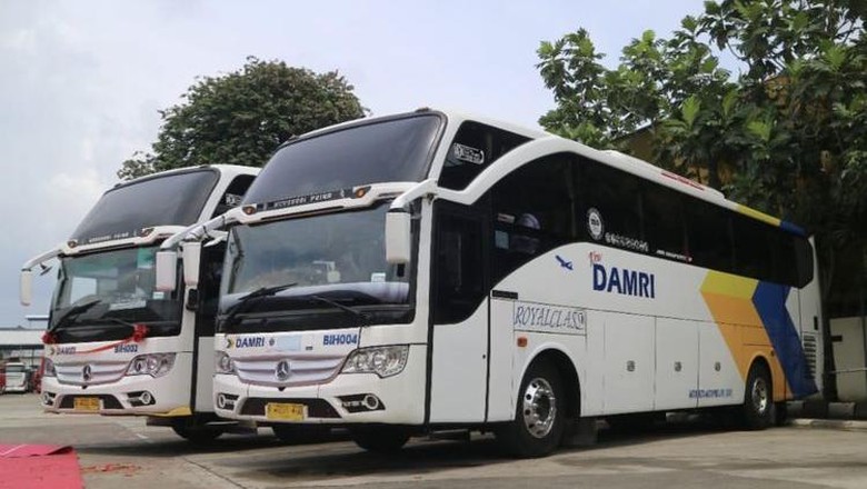 DAMRI Royal Class DAMRI Royal Class