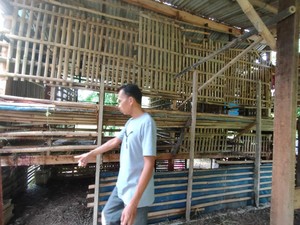 Geger! 6 Ekor Kambing Milik Warga di Depok Dijagal di Kandang!
