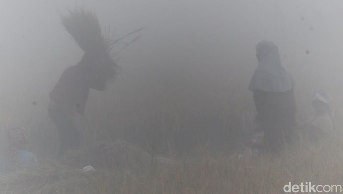 Kabut tebal menyelimuti kawasan Kabupaten Bandung pagi ini.
