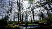 Pengunjung mengagumi rangkaian bunga di taman bunga Keukenhof, Belanda.