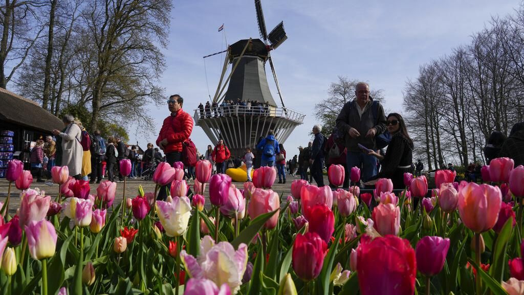 Hamparan Bunga Tulip di Taman Keukenhof Belanda, Indahnya Kebangetan!