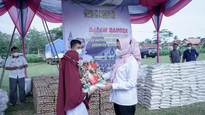 Pemkab Tulang Bawang