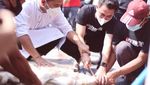 Aksi Rico Valentino Saat Bintangi Iklan Susu hingga Makan Salad
