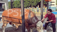 Rico juga pernah berkurban bareng keluarga besar dari PS Store. Sapi yang dijadikan kurban berukuran besar. Foto: Instagram @ricovalt