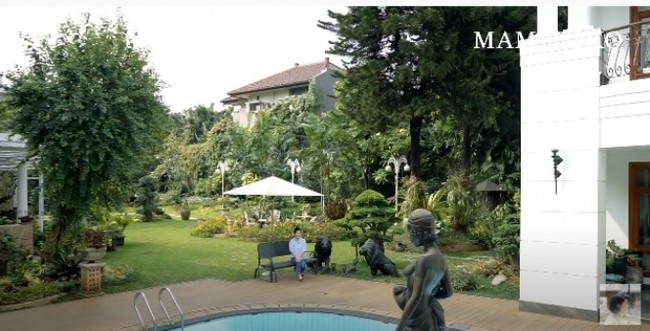Halaman belakang tampak asri berkat tumbuhan dan pepohonan hijau. Tampak seperti villa.  (Foto: YouTube)