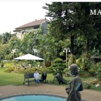 Halaman belakang tampak asri berkat tumbuhan dan pepohonan hijau. Tampak seperti villa.  (Foto: YouTube)