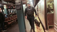 Tampak polisi membawa anjing pelacak saat melakukan patroli di area stasiun kereta bawah tanah di kawasan Manhattan. (REUTERS/Jeenah Moon).  
