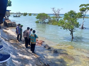 Polairud Selidiki Sapi-sapi Mengambang di Pantai Camplong Sampang