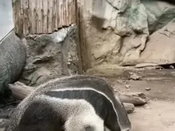 Lagi, Deretan Foto Ini Mengecoh Mata Bila Dilihat Sekilas