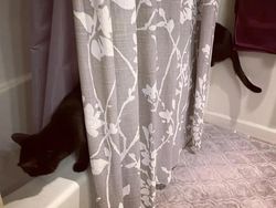 Lagi, Deretan Foto Ini Mengecoh Mata Bila Dilihat Sekilas