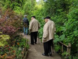 Lagi, Deretan Foto Ini Mengecoh Mata Bila Dilihat Sekilas