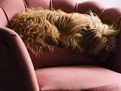 Lagi, Deretan Foto Ini Mengecoh Mata Bila Dilihat Sekilas