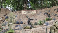 Inilah Gua Maria Bukit Kanada di Rangkasbitung, Lebak, Banten. Rupanya, Bukit Kanada adalah sebuah singkatan dari Bunda Kita Kampung Narimbang Dalam. (Fathul Rizkoh/detikTravel)