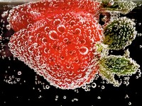 Deretan foto makro jawara kontes foto Shot on iPhone Challenge yang diselenggarakan Apple