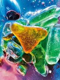 Deretan foto makro jawara kontes foto Shot on iPhone Challenge yang diselenggarakan Apple