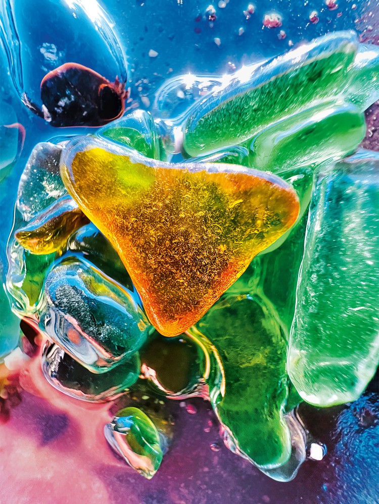 Deretan foto makro jawara kontes foto Shot on iPhone Challenge yang diselenggarakan Apple