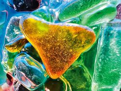 Karya Jawara Kontes Foto Makro Apple yang Memukau Mata