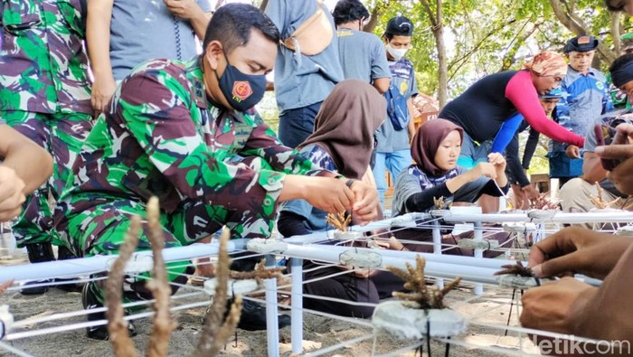 ngabuburit tenam terumbu karang