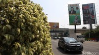 Terdapat 2 baliho yaitu di Jalan Ahmad Yani dan Jalan Ir H Juanda di dekat Stasiun Bekasi. Kedua Baliho tersebut terpasang di pusat kota Bekasi.   