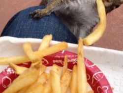 Kumpulan Foto Lucu dengan Timing yang Tepat