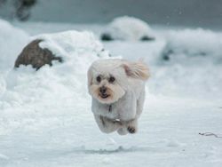 Kumpulan Foto Lucu dengan Timing yang Tepat