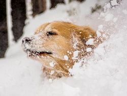 Kumpulan Foto Lucu dengan Timing yang Tepat