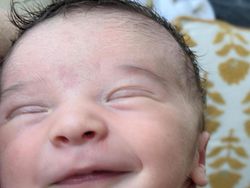 Kumpulan Foto Lucu dengan Timing yang Tepat